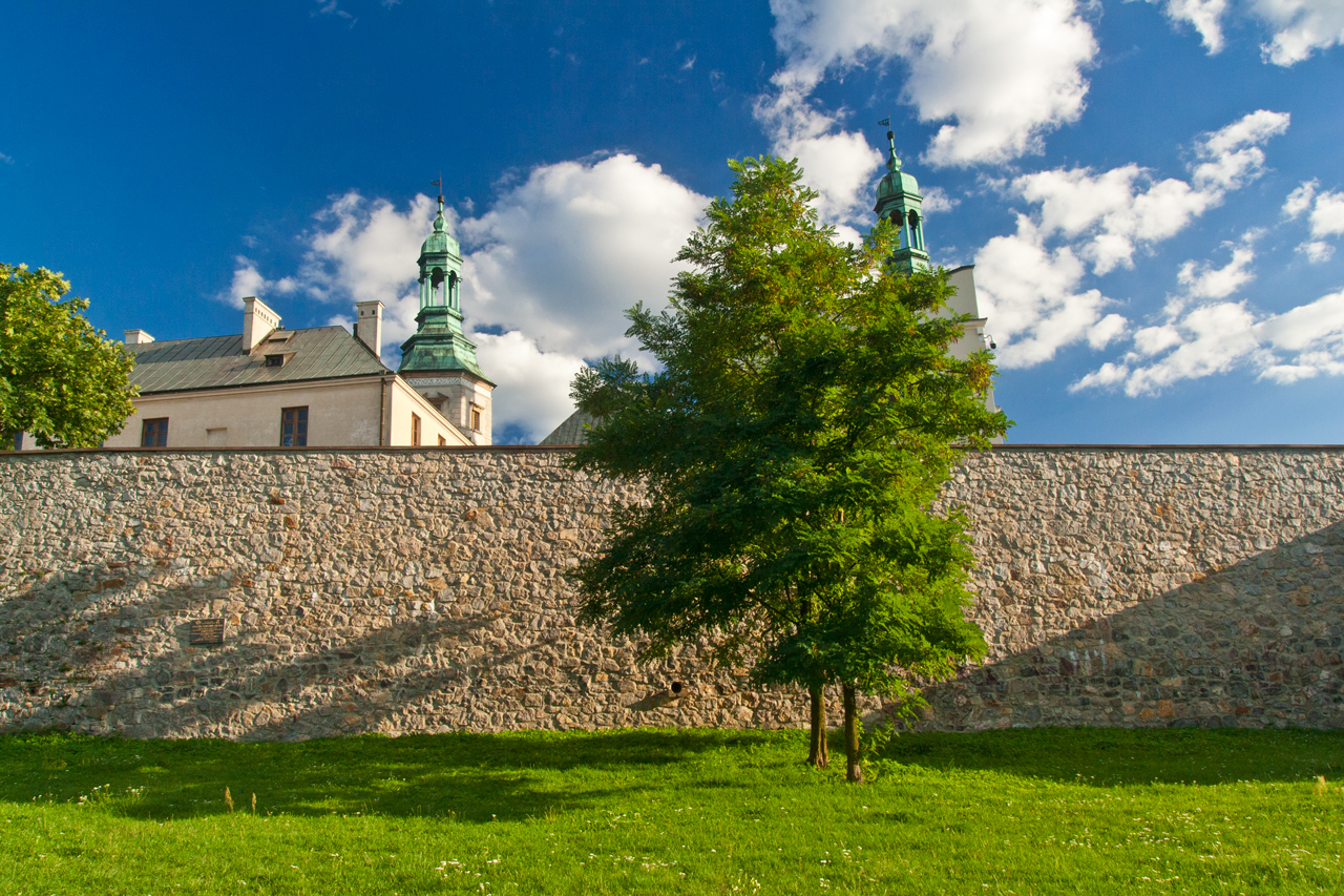 Mur pałacu biskupów.