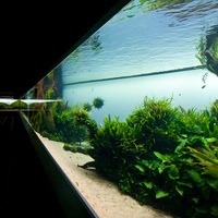 Forests Underwater - wystawa czasowa w oceanarium.