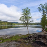 Jezioro Sognsvann - tu można dojechać metrem - linią 5.