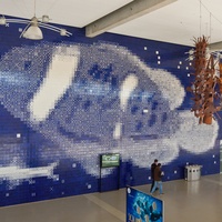 Azulejos w oceanarium.